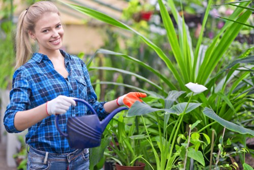 Secure online payment illustration for Landscapers Mayfair