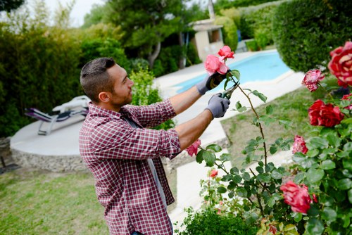 Professional landscaper planning a garden design in Mayfair