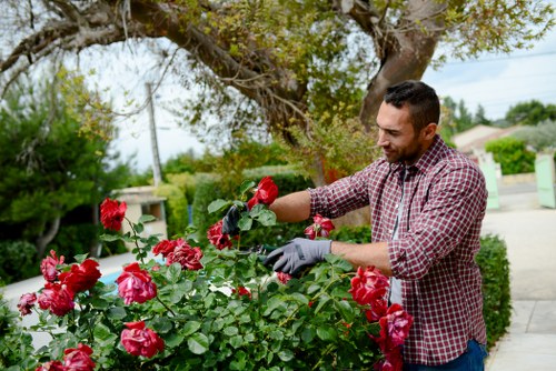 Comprehensive landscaping services including hardscapes and plantings
