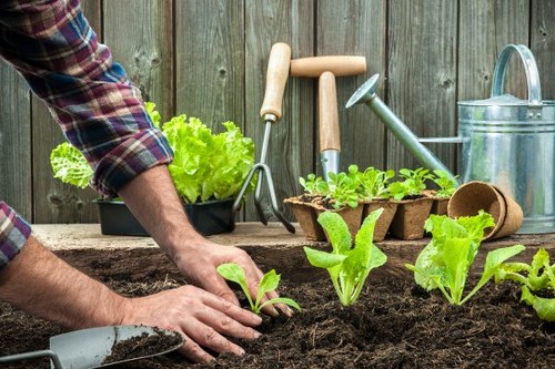 Customer complaint being reviewed during a landscaping project