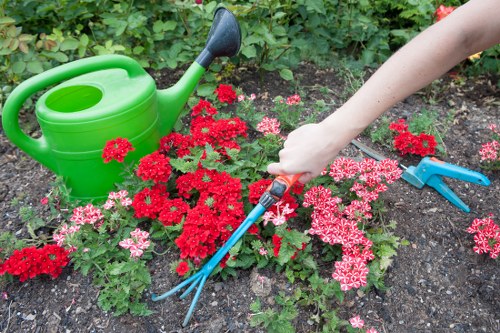 Essential garden maintenance tools