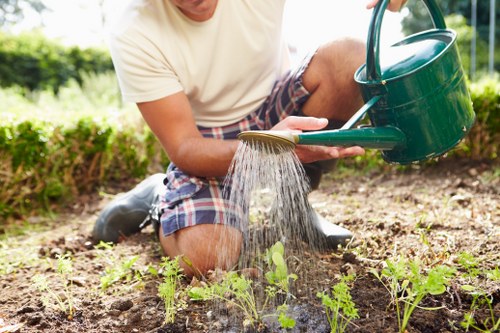 A person kneeling in a cultivated garden bed, watering young plants with a green metal watering can. The garden features a neatly arranged flower bed with small green seedlings growing in dark, moist soil. Surrounding the bed is a well-maintained lawn area with dense, green grass, and the background includes a blurred outdoor environment with natural sunlight filtering through foliage. The scene reflects typical outdoor gardening activities and highlights landscape maintenance, possibly in an urban yard or front garden in Mayfair, with the focus on caring for newly planted flora as part of professional gardening services by Landscapers Mayfair.
