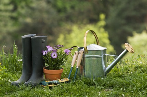 Professional lawn mowing equipment