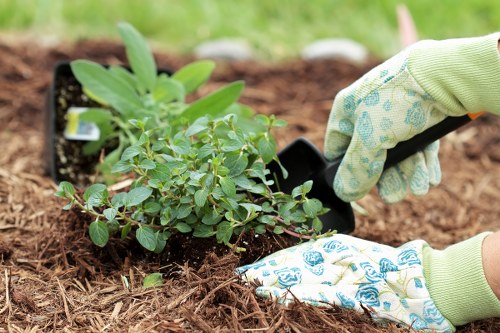 Understanding the climate for successful landscape gardening in Mayfair