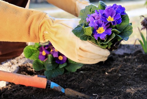 The image shows a gardener's hand, wearing a cream-colored gardening glove, planting purple and yellow primrose flowers into dark, freshly turned soil within a garden bed. The garden bed is bordered by a wooden edge, with a trowel partially visible in the foreground, suggesting active planting. In the background, there is a wooden garden structure or fence, indicating a landscaped outdoor space possibly in a private garden in Mayfair. The scene is well-lit with natural daylight, emphasizing the vibrant colours of the flowers and the healthy, moist soil. This setting reflects typical garden maintenance work, involving planting and soil preparation, which is relevant to gardening and landscaping services provided by companies like Landscapers Mayfair, especially in urban or landscaped garden environments in the local postcode area of Mayfair.