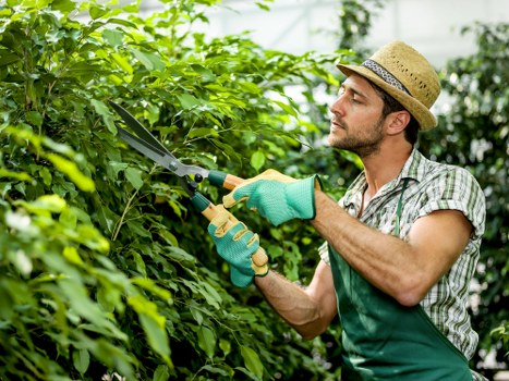 Site risk assessment during landscaping operations with equipment nearby