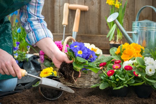 A gardener's hands are placing a potted flowering plant with vibrant purple and yellow blooms into freshly turned dark brown soil in a garden bed. Surrounding the planting area are various other potted plants, including bright red, yellow, and white flowers, along with garden tools such as a trowel, watering can, and a small fork-like tool. The background features a wooden fence, and further gardening supplies, including yellow daffodils in a vase, suggest a well-maintained outdoor space typical of a residential garden in Mayfair or nearby areas. The scene captures a moment of gardening activity focused on planting and soil preparation, highlighting the busy, productive atmosphere of outdoor garden maintenance and landscaping services. The natural lighting indicates a clear day, emphasizing the fresh and vibrant environment.