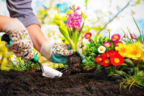 Final record of a resolved landscaping complaint