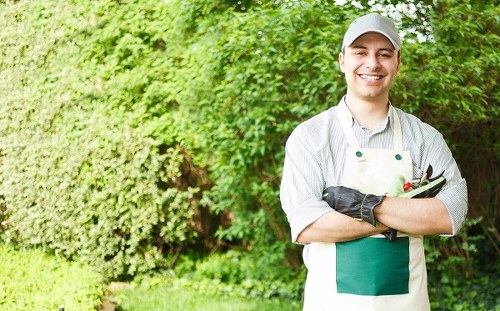 Professional gardener pruning plants