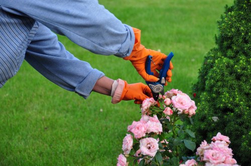 A gardener wearing a long-sleeved blue shirt and bright orange gloves is carefully pruning pink roses with hedge trimming scissors in a well-maintained outdoor garden area. The garden features a neatly trimmed lawn with lush, vibrant green grass in the foreground, bordered by a variety of plants and shrubs. To the right, a dense, green conifer or shrub provides structure and privacy, while in the background, additional garden beds and trees can be seen, suggesting a layered landscape design. The weather appears clear and bright, with natural light highlighting the healthy foliage and vibrant flower colours. The scene reflects meticulous outdoor maintenance typical of professional gardening services, such as those offered by Landscapers Mayfair, which include lawn care, pruning, and garden upkeep in the Mayfair area, tailored for a structured outdoor space with natural elements and seasonal flowering plants.