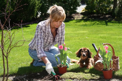 Inclusive browsing experience for Mayfair landscaping services