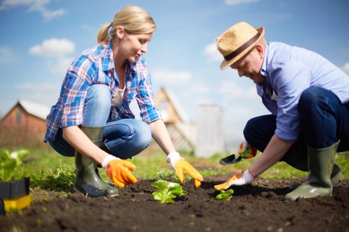 A woman and a man are engaged in gardening activities in a structured outdoor garden space, kneeling on the soil and planting young green plants within a flower bed. The woman, dressed in a blue and white checkered shirt, jeans, and wearing orange gloves, is carefully placing a plant into the ground. The man, wearing a light blue shirt, dark trousers, and a straw hat, also gloves, is assisting with planting. The garden features a well-maintained grassy lawn foreground, with a neatly defined flower bed bordered by soil, and the planting area appears to be part of a landscaped backyard. In the background, there are trees and a clear blue sky with some clouds, suggesting good weather conditions. The overall scene depicts a professional gardening activity typical of landscape enhancement services offered by Landscapers Mayfair, situated near Mayfair in London, reflecting straightforward and precise outdoor maintenance elements suitable for high-end residential gardens.